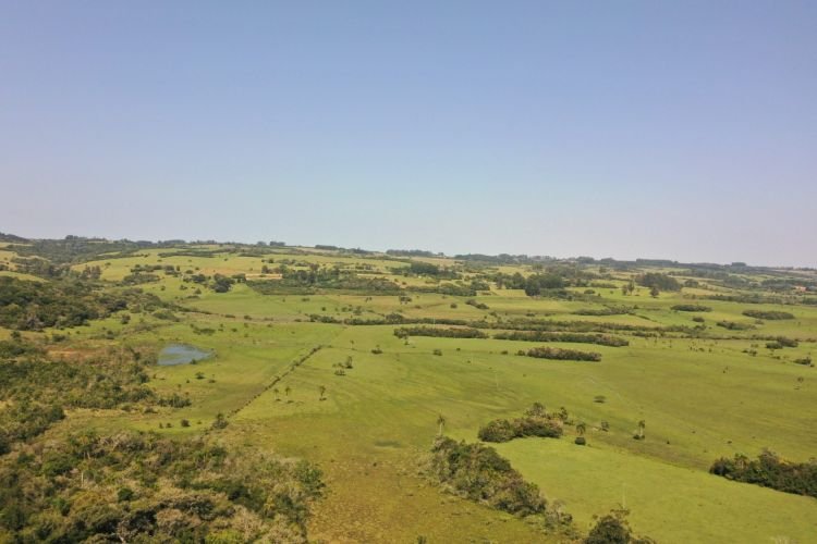 Aterro em Viamão: A Luta Guarani em defesa da Água e do Território Sagrado