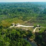 “Nossas florestas são sagradas”: Povo Jenu Kuruba retoma território ancestral na Índia após 40 anos de expulsão