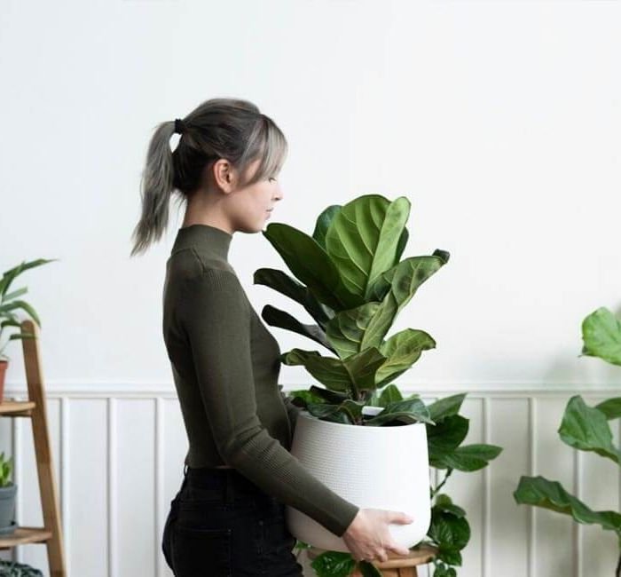 The ‘Anti-Minimalism’ Movement: Why Clutter Is Making a Comeback (Demo)