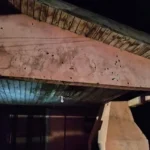 A Figura Indígena no Imaginário Brasileiro: Uma Trajetória de Invenção, Violência e Resistência