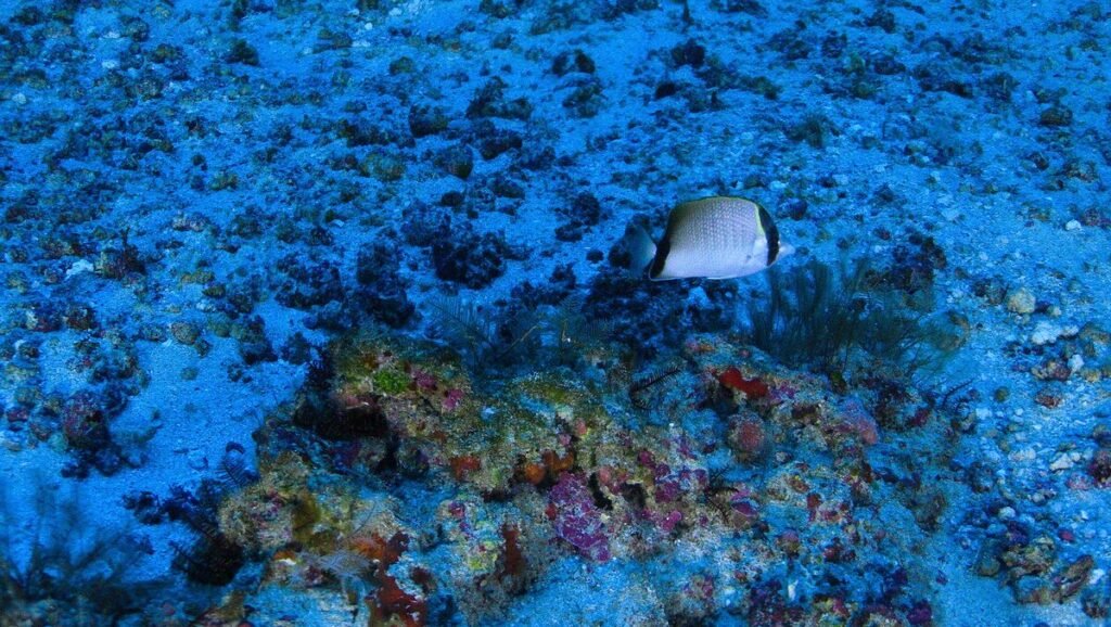 PFOV5O56MNIV5JB43ZINY65CCI-1024x578