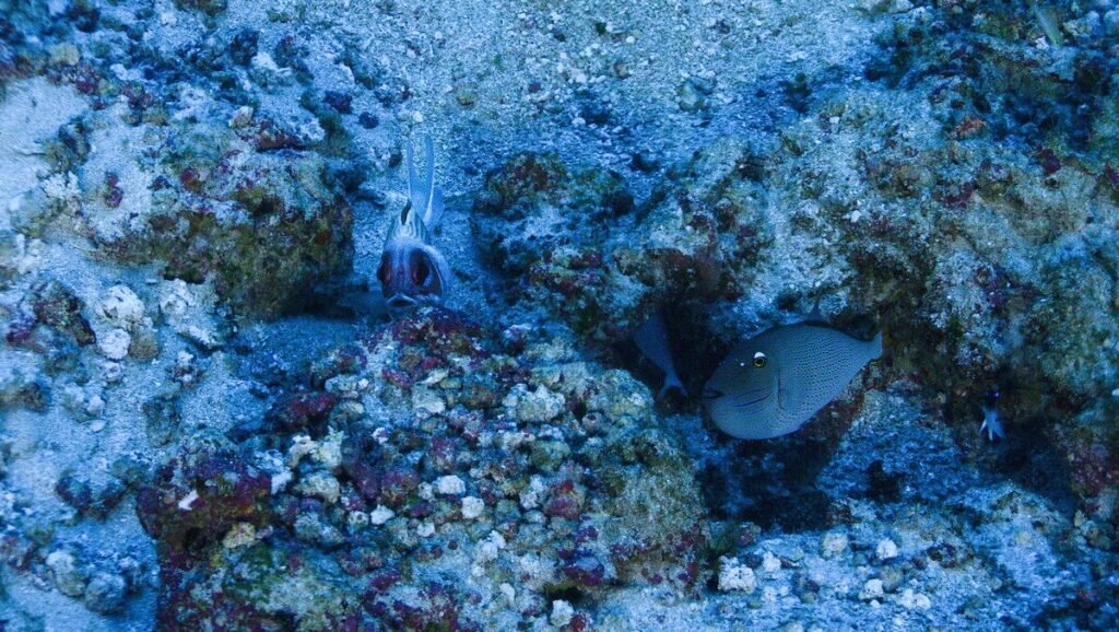 RQ6SKSE4JZPHTHAVN7W2TNWU3E-1024x578