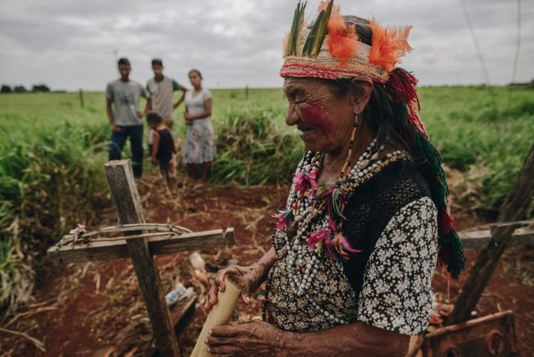 Terra, Veneno e a Luta pela Existência Guarani e Kaiowá