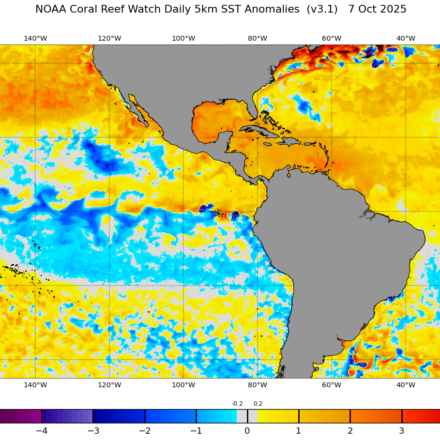 La Niña e o RS: O Racismo Ambiental Tem Sede