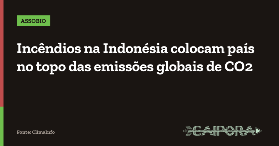 Incêndios na Indonésia colocam país no topo das emissões globais de CO2
