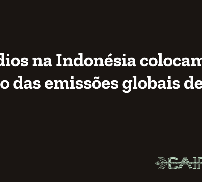 Incêndios na Indonésia colocam país no topo das emissões globais de CO2