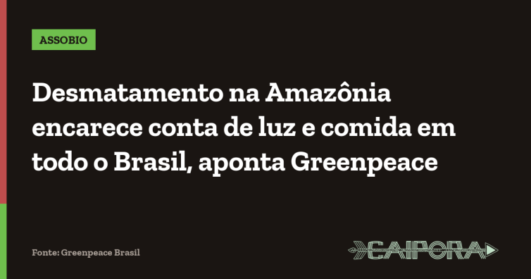 Desmatamento na Amazônia encarece conta de luz e comida em todo o Brasil, aponta Greenpeace