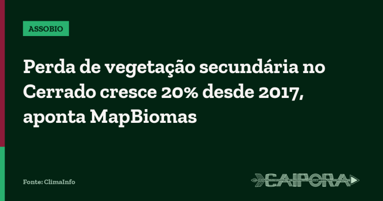 Perda de vegetação secundária no Cerrado cresce 20% desde 2017, aponta MapBiomas
