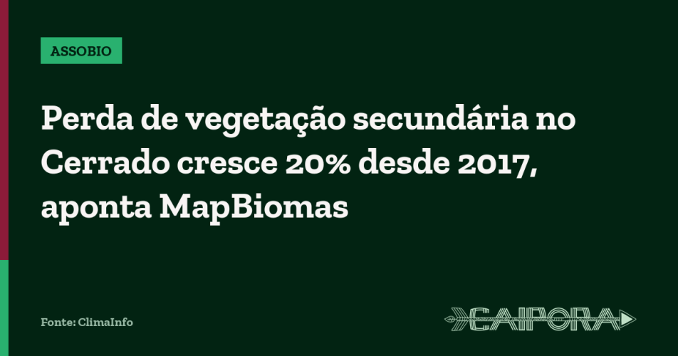Perda de vegetação secundária no Cerrado cresce 20% desde 2017, aponta MapBiomas