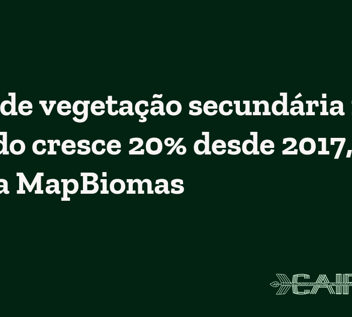 Perda de vegetação secundária no Cerrado cresce 20% desde 2017, aponta MapBiomas