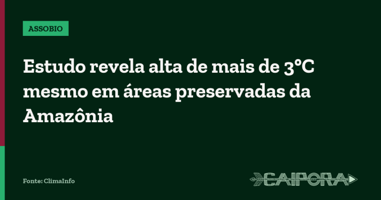 Estudo revela alta de mais de 3°C mesmo em áreas preservadas da Amazônia