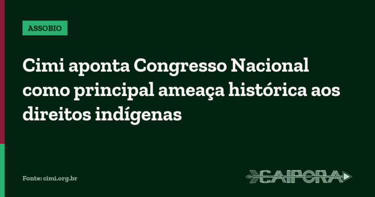 Cimi aponta Congresso Nacional como principal ameaça histórica aos direitos indígenas
