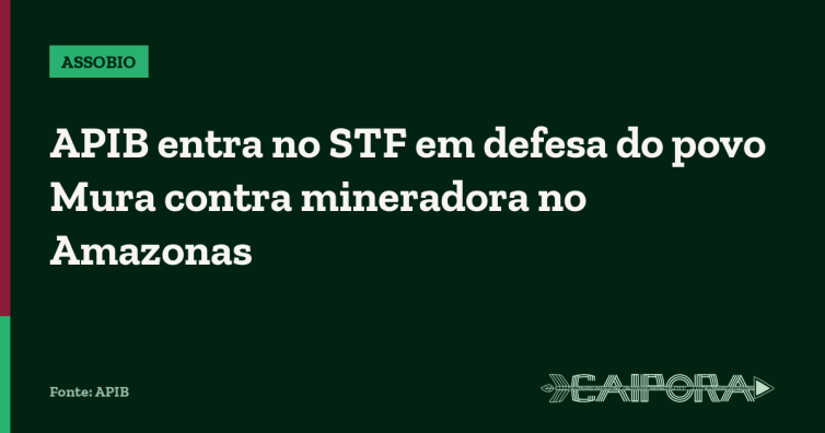APIB entra no STF em defesa do povo Mura contra mineradora no Amazonas