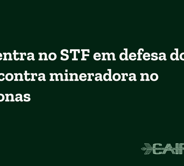 APIB entra no STF em defesa do povo Mura contra mineradora no Amazonas