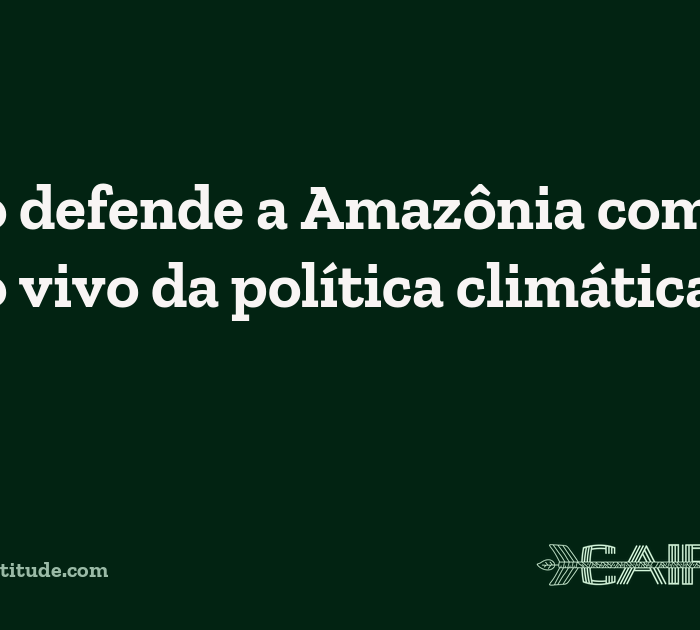 Artigo defende a Amazônia como centro vivo da política climática global