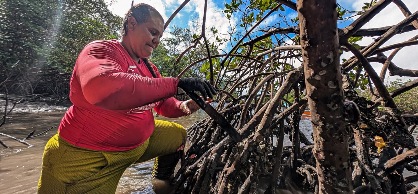 Marisqueiras de Sergipe resistem à perda de acesso aos manguezais