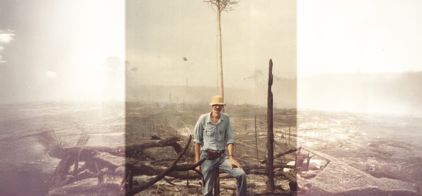 Cientista completa 50 anos documentando o custo real do desmatamento na Amazônia