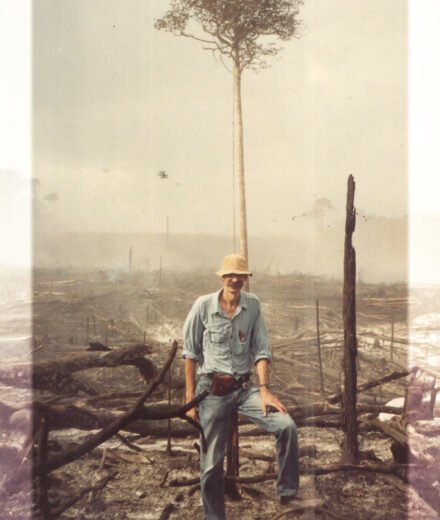 Cientista completa 50 anos documentando o custo real do desmatamento na Amazônia