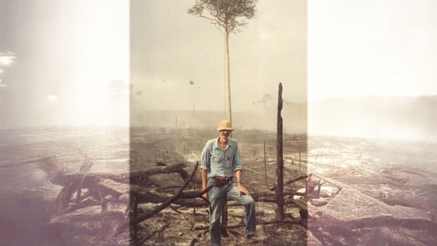 Cientista completa 50 anos documentando o custo real do desmatamento na Amazônia