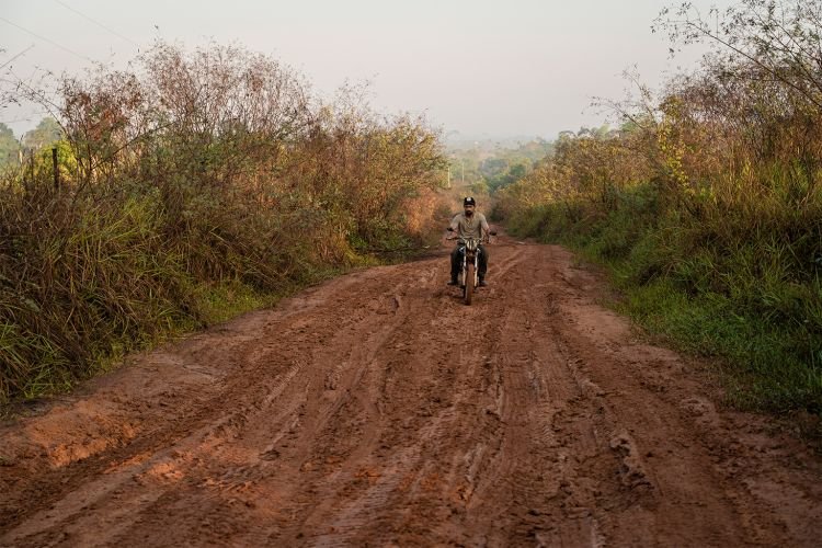Estrada ilegal de 42 km some sob a floresta no corredor do Xingu