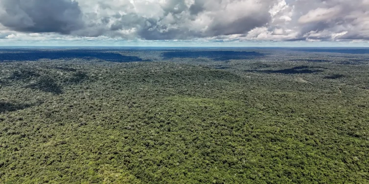 Cientistas alertam que devastação pode quebrar a maior máquina de chuva do mundo