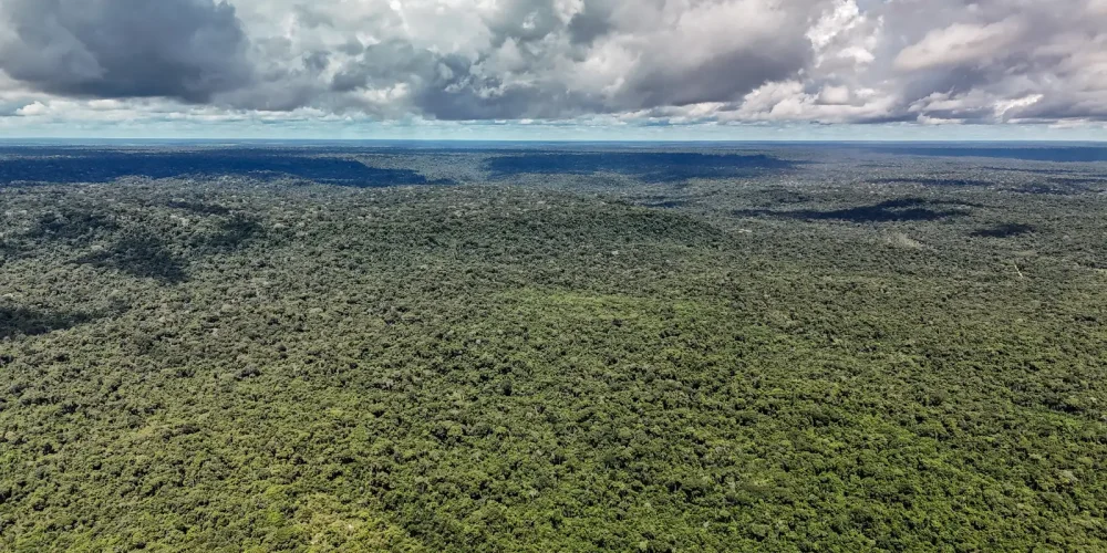 Cientistas alertam que devastação pode quebrar a maior máquina de chuva do mundo