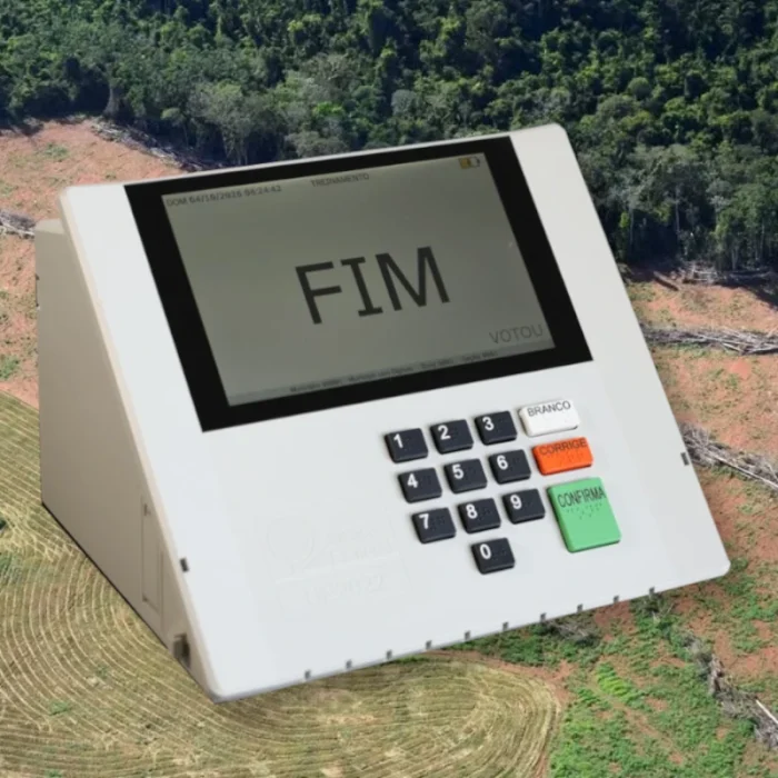 Candidatos à eleição 2026 somam R$ 176 milhões em multas por desmatamento na Amazônia
