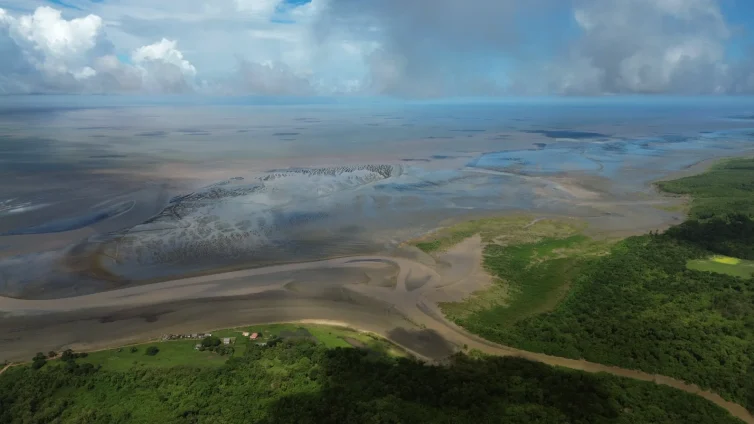 Aumento do nível do mar altera rotina de pescadores na foz do Amazonas