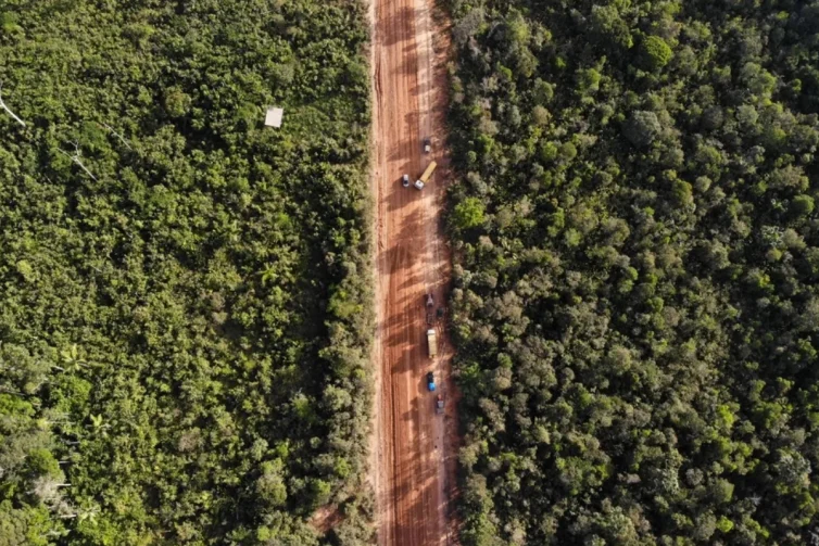 Estradas clandestinas na BR-319 crescem 70% antes mesmo do asfaltamento