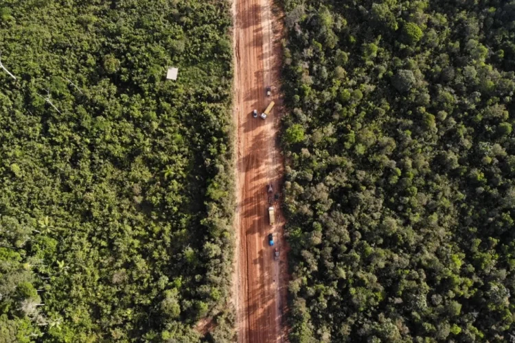 Estradas clandestinas na BR-319 crescem 70% antes mesmo do asfaltamento