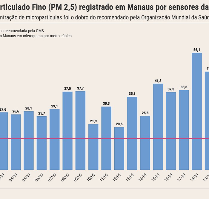 Fumaça de queimadas deixa ar de Manaus duas vezes acima do limite da OMS