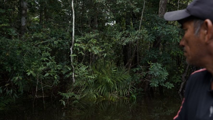 Cimi denuncia à ONU invasão de território Piaci no Pará e omissão do Brasil