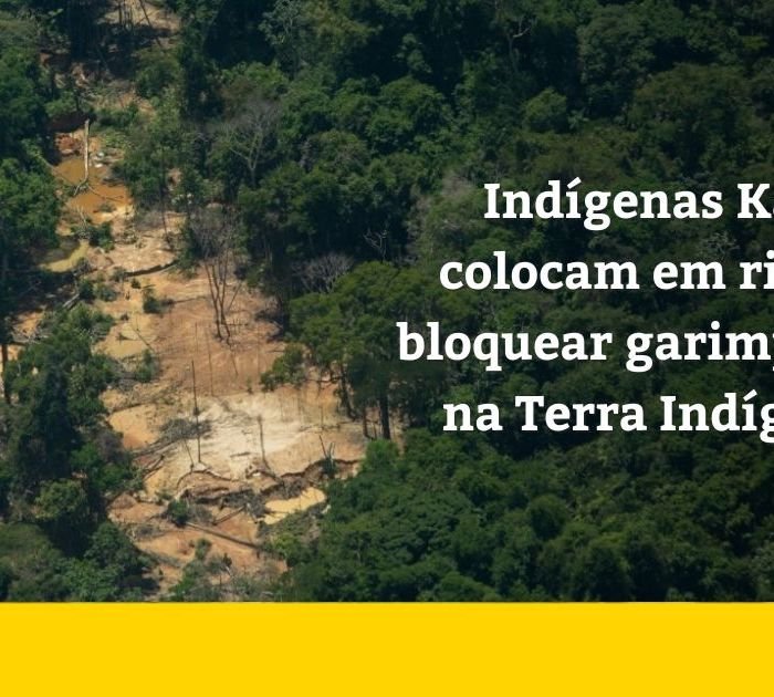 Kayapó bloqueiam acesso a garimpo ilegal na Terra Indígena Baú, no Pará
