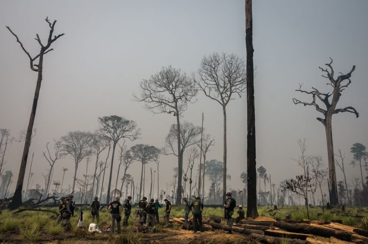 Redução da Flona do Jamanxim no Pará ameaça acelerar desmatamento e grilagem