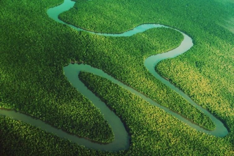 Fiscalização ambiental sob Lula evitou desmatar 20 mil km² na Amazônia desde 2023