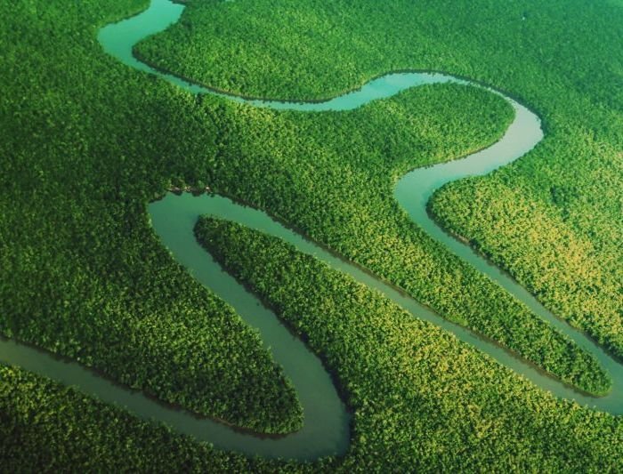 Fiscalização ambiental sob Lula evitou desmatar 20 mil km² na Amazônia desde 2023