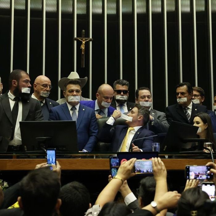 Candidatos multados por crime ambiental recebem R$ 253 milhões em crédito rural