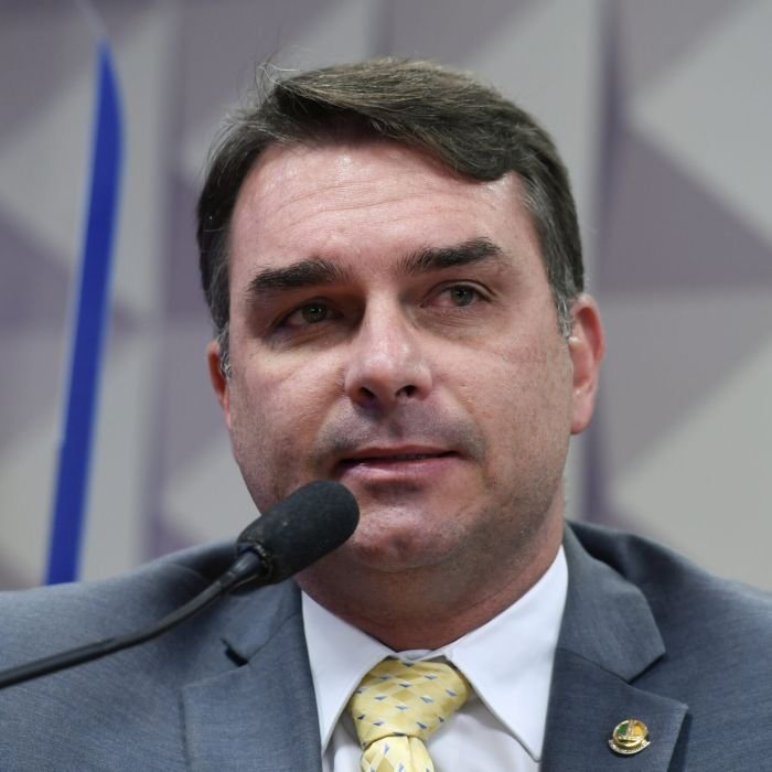 Eleições no Brasil podem entregar 95% da Amazônia a governos de direita