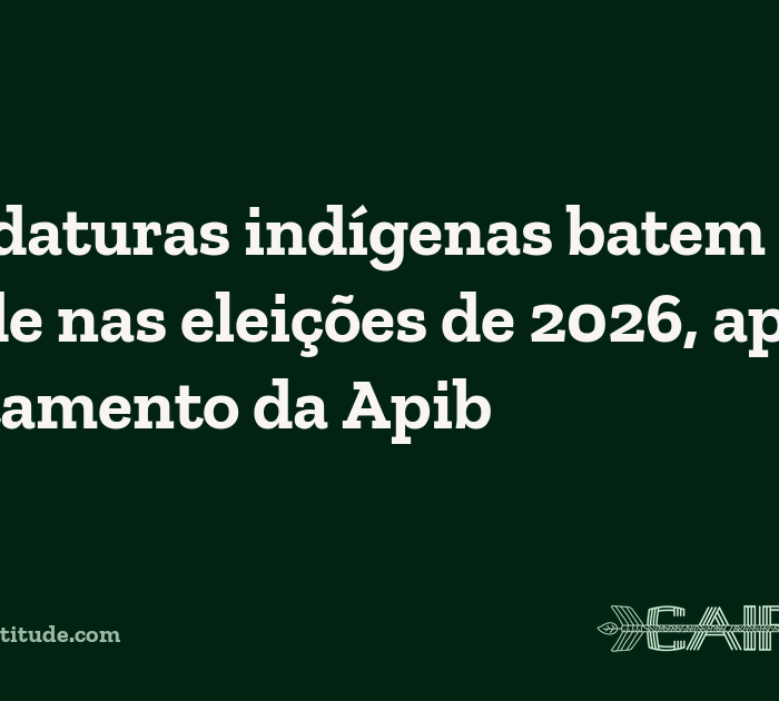 Candidaturas indígenas batem recorde nas eleições de 2026, aponta levantamento da Apib