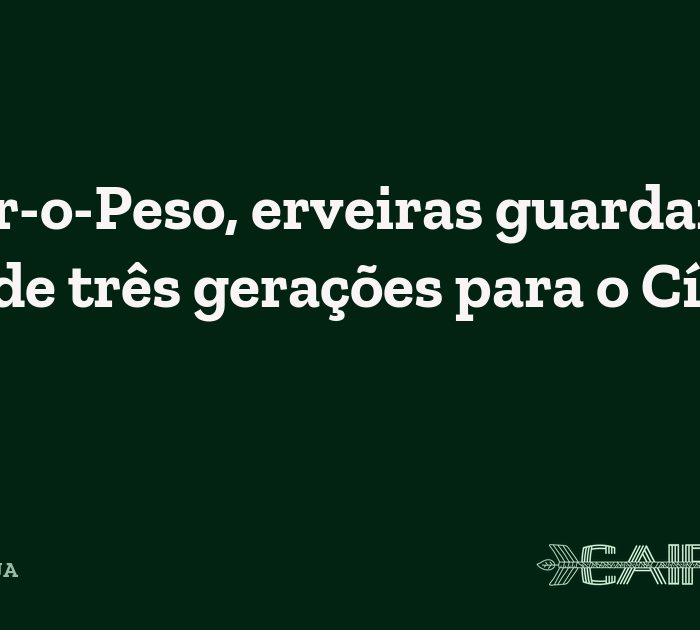 No Ver-o-Peso, erveiras guardam saber de três gerações para o Círio