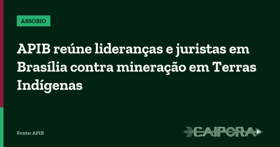 APIB reúne lideranças e juristas em Brasília contra mineração em Terras Indígenas