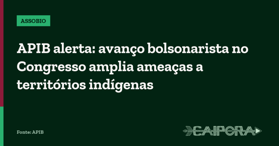 APIB alerta: avanço bolsonarista no Congresso amplia ameaças a territórios indígenas