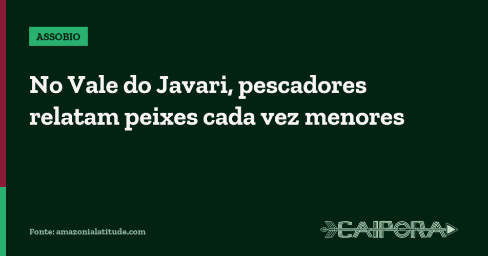 No Vale do Javari, pescadores relatam peixes cada vez menores