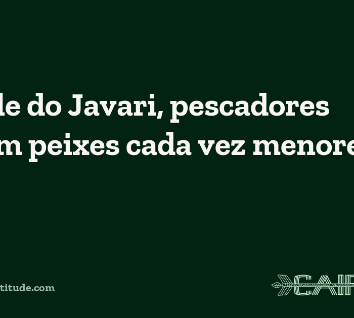No Vale do Javari, pescadores relatam peixes cada vez menores