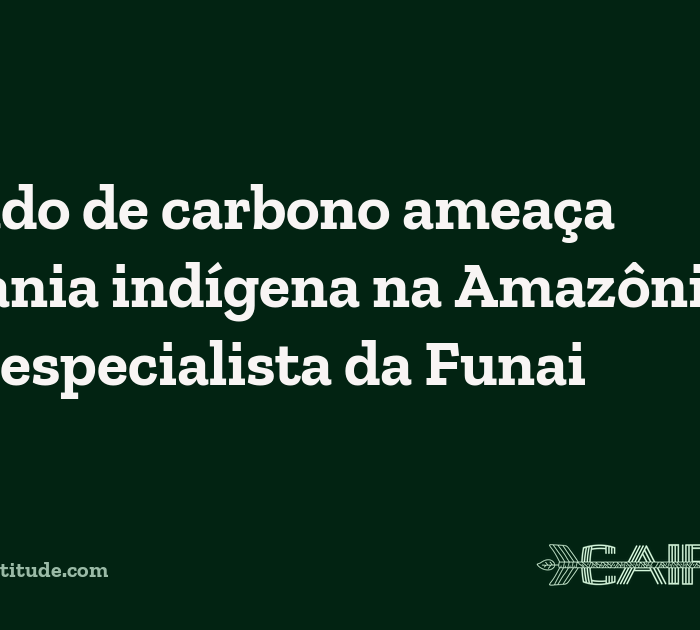 Mercado de carbono ameaça soberania indígena na Amazônia, alerta especialista da Funai