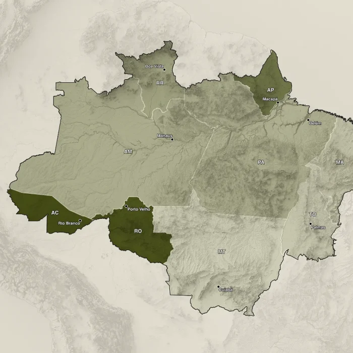 Governadores da Amazônia Legal gastaram só 1,3% do orçamento com agenda climática