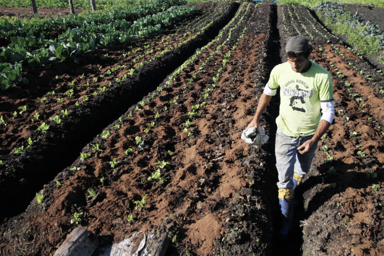 Clima extremo pressiona agricultura familiar no Rio Grande do Sul