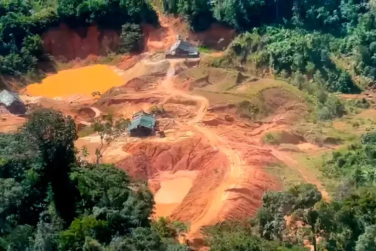 Candidatos ao Senado na Amazônia fazem campanha pró-garimpo em Terras Indígenas