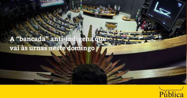 Levantamento do Cimi mapeia bancada anti-indígena que disputa reeleição neste domingo