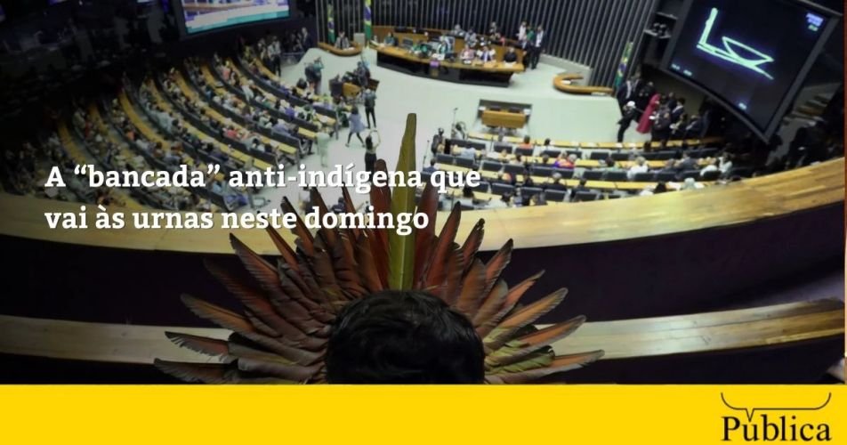 Levantamento do Cimi mapeia bancada anti-indígena que disputa reeleição neste domingo